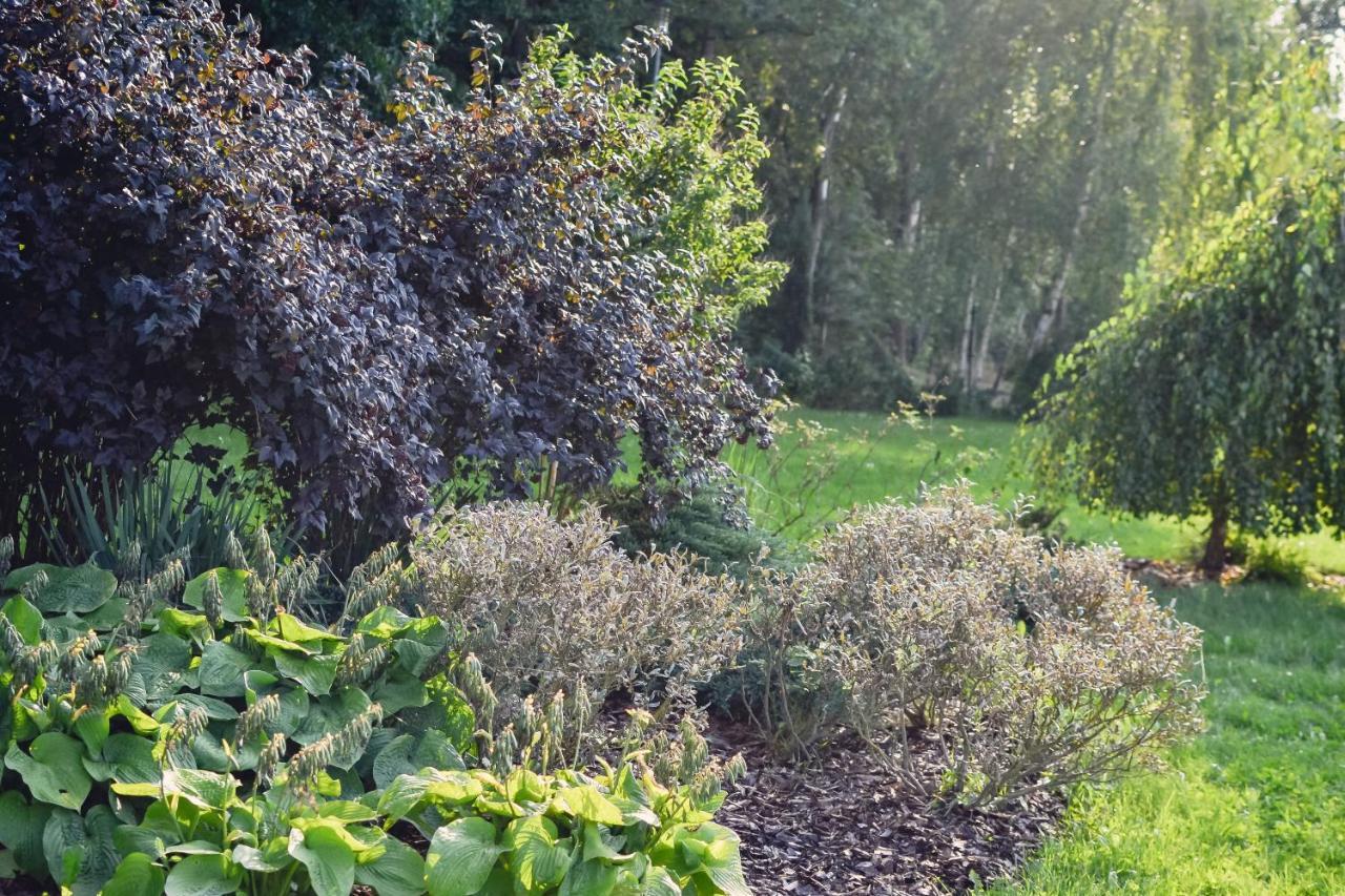 فندق Eco Nieborów المظهر الخارجي الصورة
