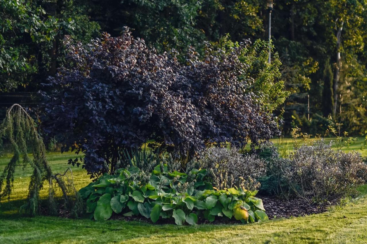 فندق Eco Nieborów المظهر الخارجي الصورة