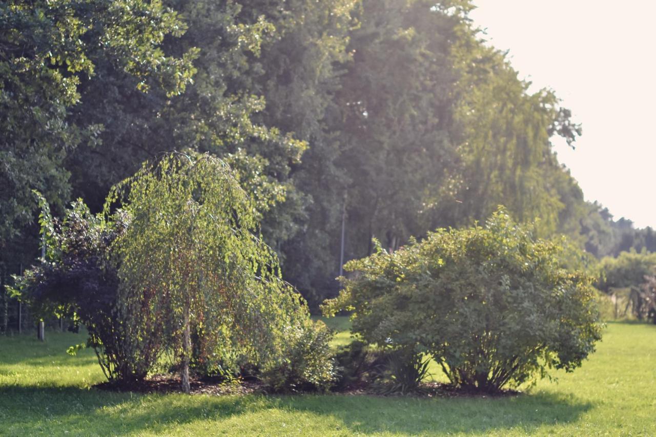 فندق Eco Nieborów المظهر الخارجي الصورة