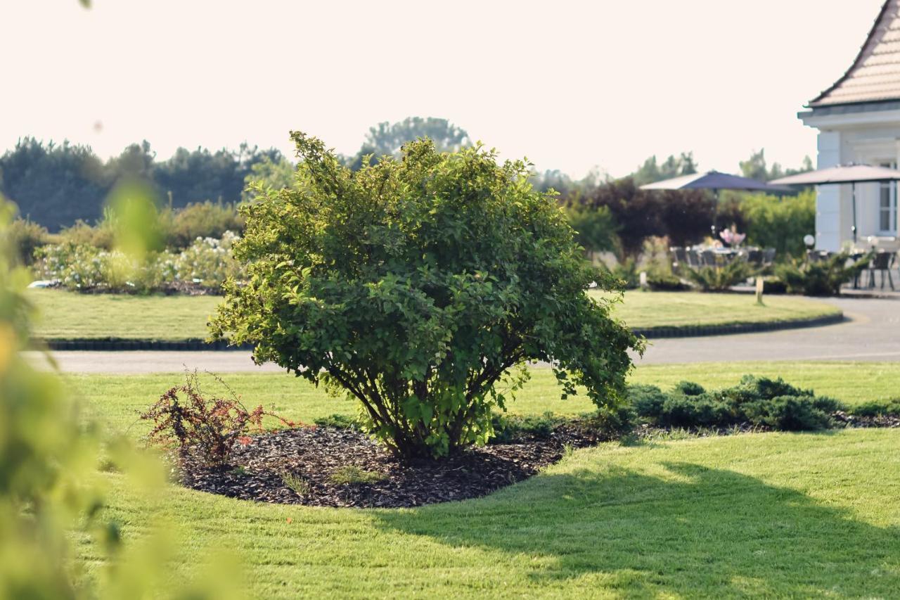 فندق Eco Nieborów المظهر الخارجي الصورة
