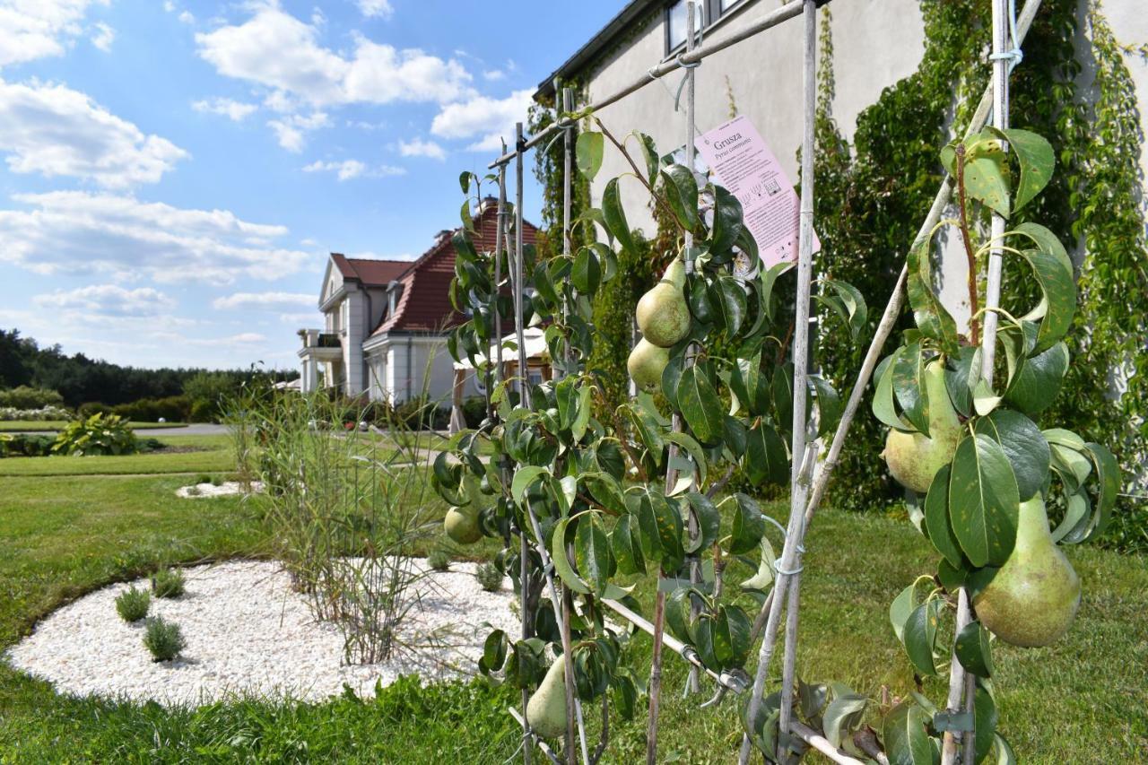 فندق Eco Nieborów المظهر الخارجي الصورة